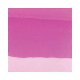 Vinyle de bague translucide les Georgettes cristal/rose fluo