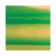 Vinyle de bague translucide les Georgettes Carioca/Vert