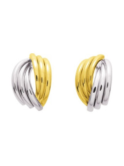 Boucles d'oreilles 2 Ors