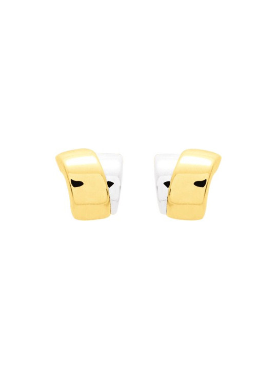 Boucles d'oreilles 2 Ors