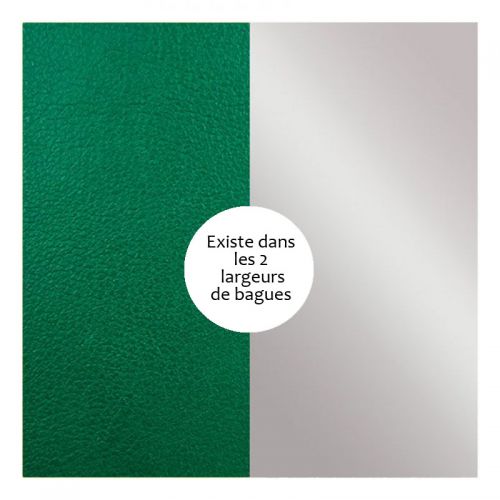 Vinyle de bague reversible les Georgettes vert bouteille/gris vernis
