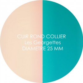 Cuir reversible les Georgettes nude/aquatic pour collier diamètre 25 mm