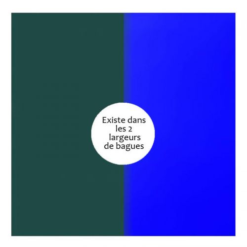 Vinyle de bague reversible les Georgettes sapin/bleu klein