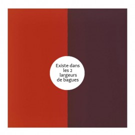 Vinyle de bague reversible les Georgettes orange/brun rose